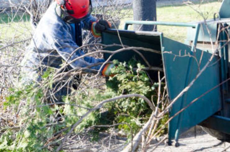 Krause Tree Service